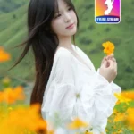 Thanh Tù x Yylive APK Live Show Nổi Bật Hấp Dẫn 2026